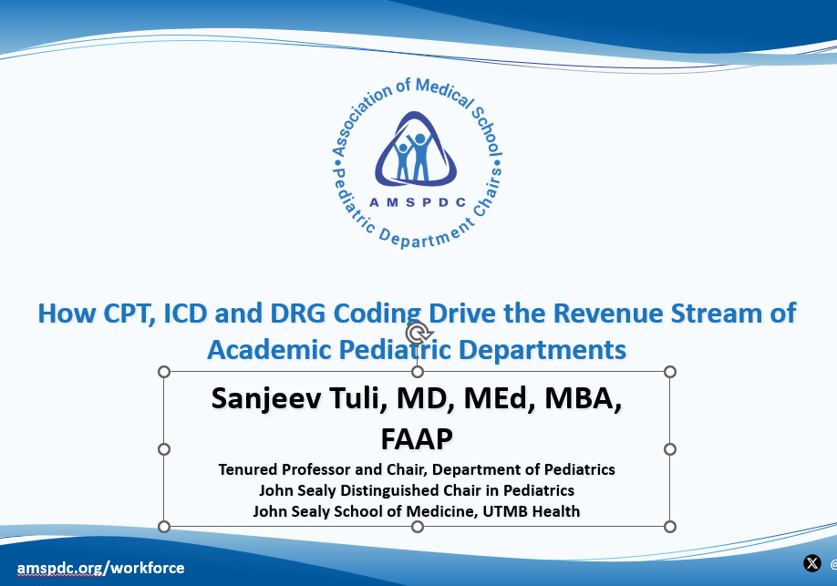 Screenshot of the coding and revenue stream webinar
